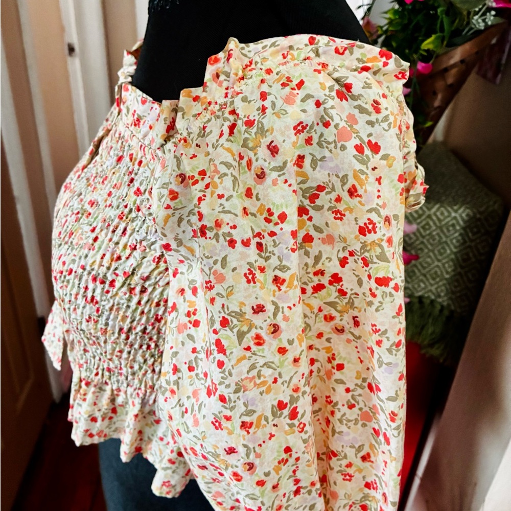 Zara Cream Floral Smocked Crop Top with Red & Green Accents